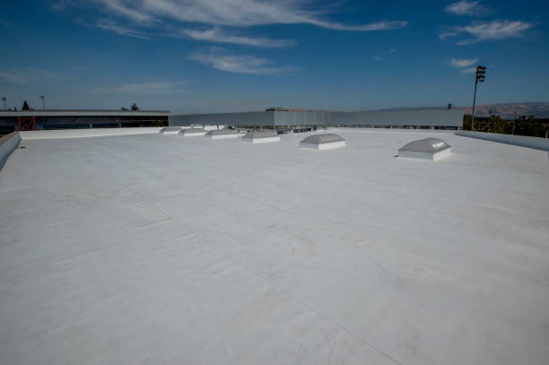 Best 4 Ply Roofing  in Colon, MI